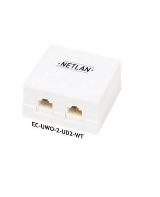 Изображение анонса товара "Netlan, розетка настенная, 2 порт, кат 5е, белая" каталога оборудования Антенна76