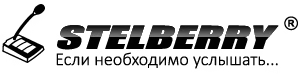 Логотип stelberry