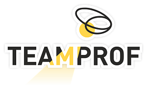 Логотип teamprof